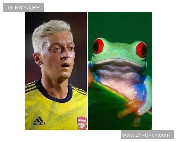 足球场上的动物奇缘:球星们与动物的神奇联动与默契瞬间 足球场上的动物奇缘:球星们与动物的神奇联动与默契瞬间